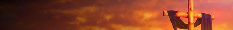 Bamboo banner